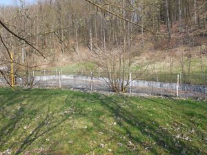 DSCN1612.JPG