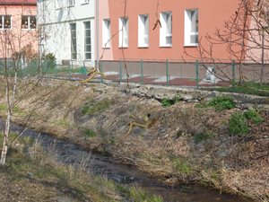 DSCN1619.JPG