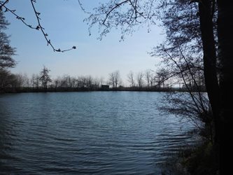 DSCN7315.JPG