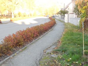 DSCN4172.JPG