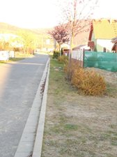 DSCN4184-(1).JPG