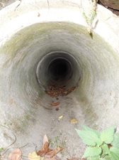 DSCN4150.JPG